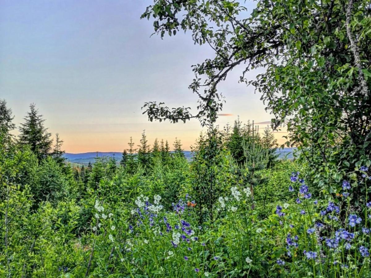 Glamping Tent With Amazing View In The Forest Турсбю Экстерьер фото