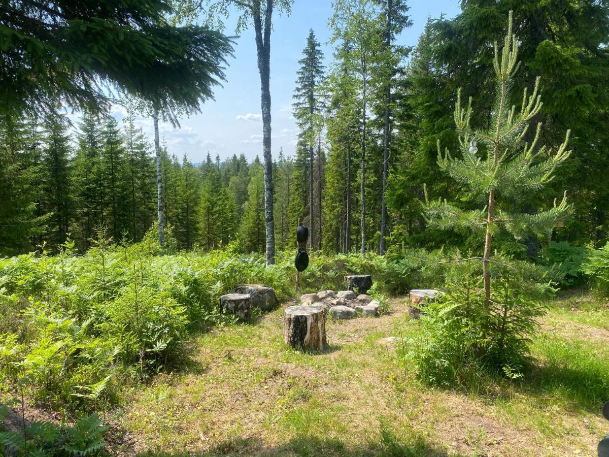 Glamping Tent With Amazing View In The Forest Турсбю Экстерьер фото