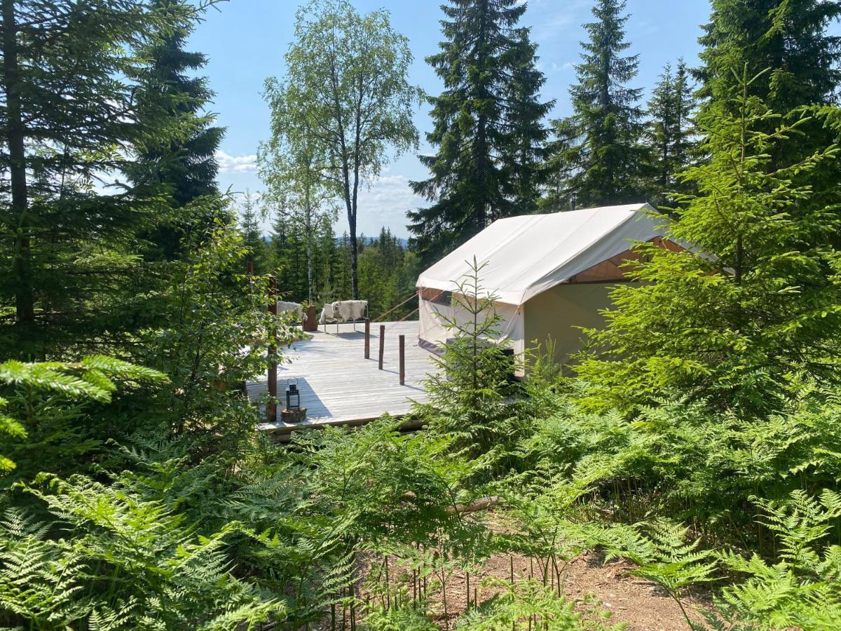 Glamping Tent With Amazing View In The Forest Турсбю Экстерьер фото
